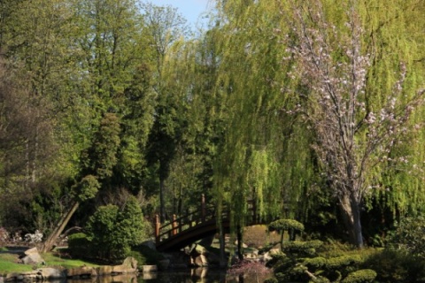 Kliknij na zdjęcie, żeby zobaczyć w pełnych wymiarach