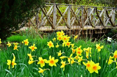 Kliknij na zdjęcie, żeby zobaczyć w pełnych wymiarach