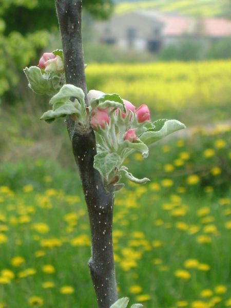 Kliknij na zdjęcie, żeby zobaczyć w pełnych wymiarach
