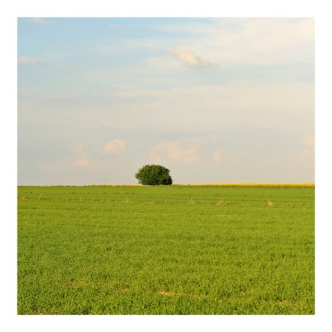 Kliknij na zdjęcie, żeby zobaczyć w pełnych wymiarach