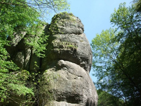 Kliknij na zdjęcie, żeby zobaczyć w pełnych wymiarach
