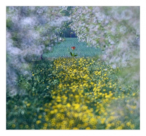 Kliknij na zdjęcie, żeby zobaczyć w pełnych wymiarach