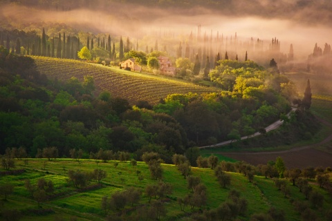 Kliknij na zdjęcie, żeby zobaczyć w pełnych wymiarach