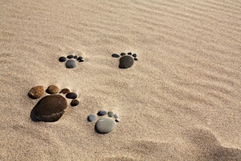 Kliknij na zdjęcie, żeby zobaczyć w pełnych wymiarach