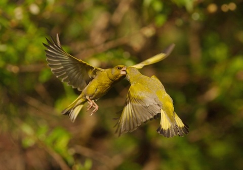Kliknij na zdjęcie, żeby zobaczyć w pełnych wymiarach