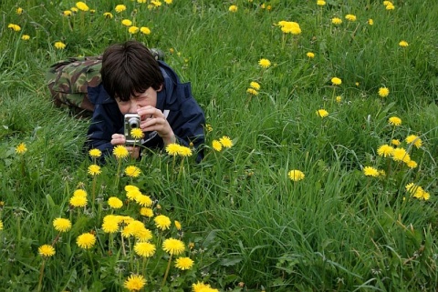 Kliknij na zdjęcie, żeby zobaczyć w pełnych wymiarach