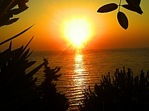 Kliknij na zdjęcie, żeby zobaczyć w pełnych wymiarach