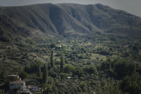 Kliknij na zdjęcie, żeby zobaczyć w pełnych wymiarach