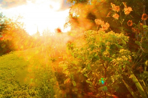 Kliknij na zdjęcie, żeby zobaczyć w pełnych wymiarach