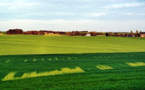 Kliknij na zdjęcie, żeby zobaczyć w pełnych wymiarach