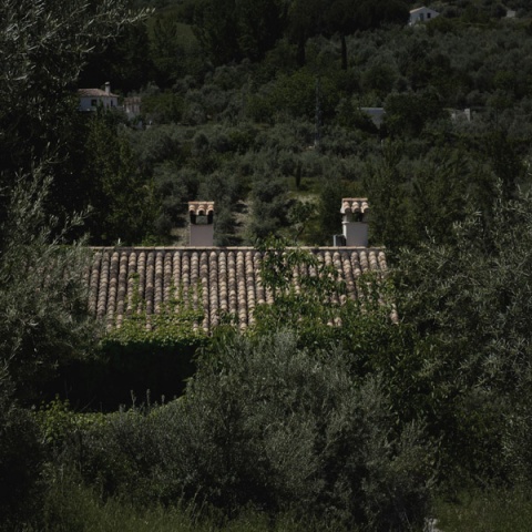 Kliknij na zdjęcie, żeby zobaczyć w pełnych wymiarach