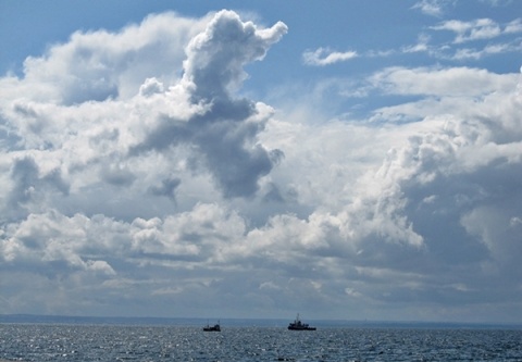 Kliknij na zdjęcie, żeby zobaczyć w pełnych wymiarach