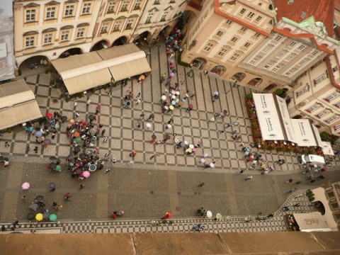 Kliknij na zdjęcie, żeby zobaczyć w pełnych wymiarach