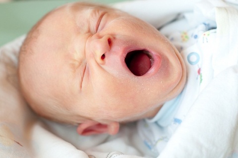 Kliknij na zdjęcie, żeby zobaczyć w pełnych wymiarach