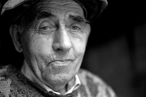 Kliknij na zdjęcie, żeby zobaczyć w pełnych wymiarach