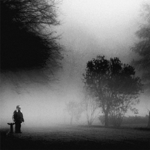 Kliknij na zdjęcie, żeby zobaczyć w pełnych wymiarach