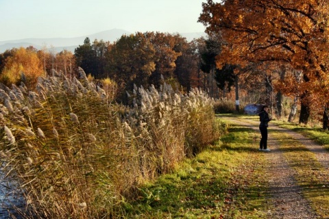 Kliknij na zdjęcie, żeby zobaczyć w pełnych wymiarach