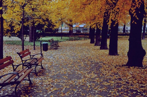 Kliknij na zdjęcie, żeby zobaczyć w pełnych wymiarach