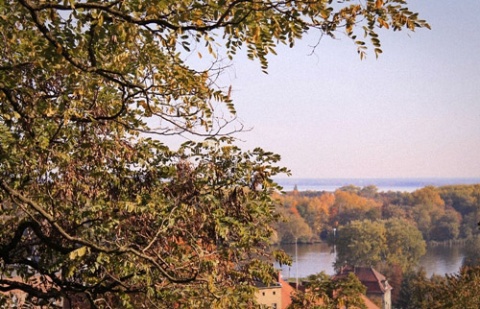 Kliknij na zdjęcie, żeby zobaczyć w pełnych wymiarach