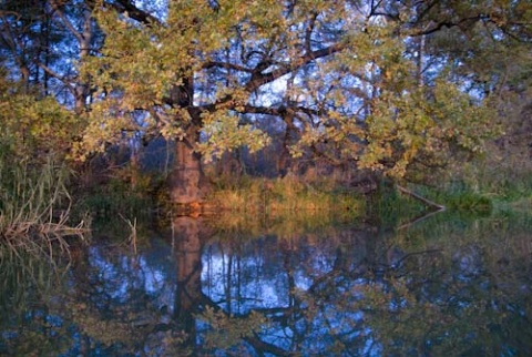 Kliknij na zdjęcie, żeby zobaczyć w pełnych wymiarach