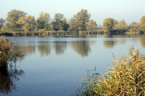 Kliknij na zdjęcie, żeby zobaczyć w pełnych wymiarach
