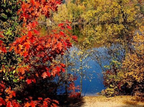 Kliknij na zdjęcie, żeby zobaczyć w pełnych wymiarach