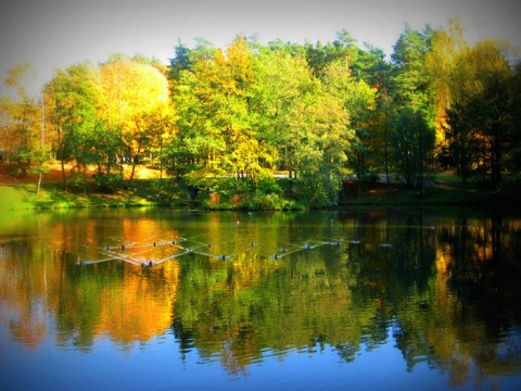 Kliknij na zdjęcie, żeby zobaczyć w pełnych wymiarach