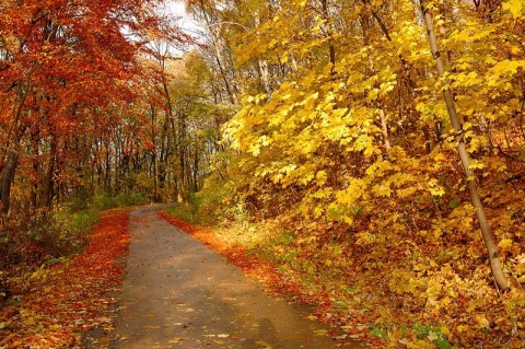 Kliknij na zdjęcie, żeby zobaczyć w pełnych wymiarach