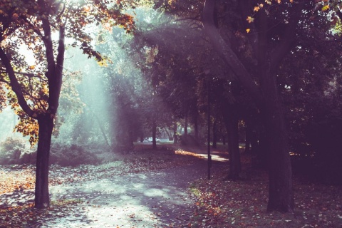 Kliknij na zdjęcie, żeby zobaczyć w pełnych wymiarach