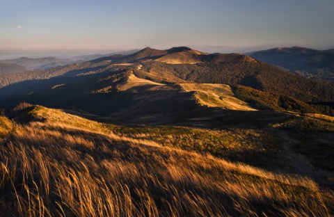 Kliknij na zdjęcie, żeby zobaczyć w pełnych wymiarach
