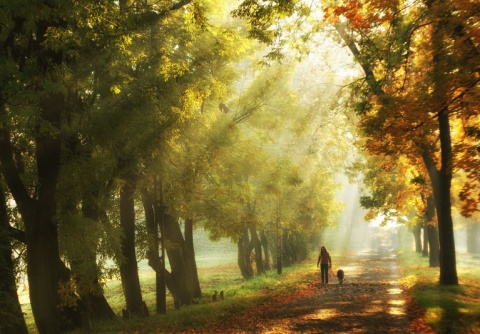 Kliknij na zdjęcie, żeby zobaczyć w pełnych wymiarach