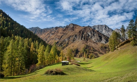 Kliknij na zdjęcie, żeby zobaczyć w pełnych wymiarach