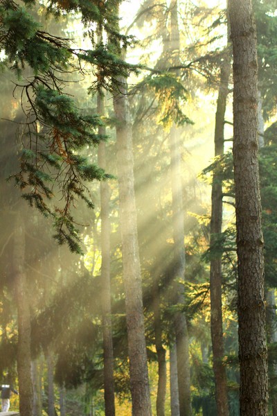 Kliknij na zdjęcie, żeby zobaczyć w pełnych wymiarach