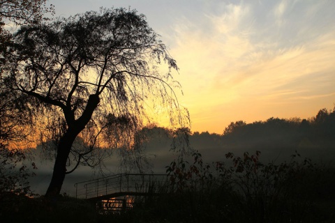 Kliknij na zdjęcie, żeby zobaczyć w pełnych wymiarach