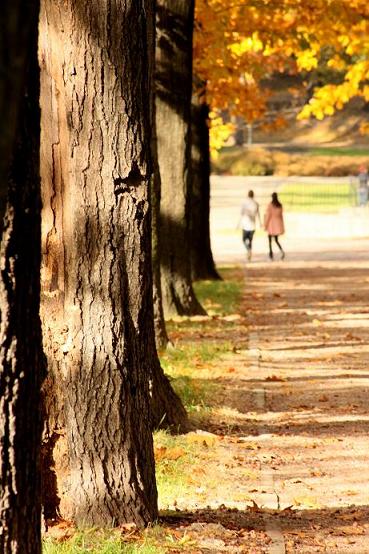 Kliknij na zdjęcie, żeby zobaczyć w pełnych wymiarach