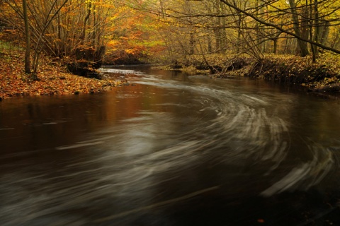 Kliknij na zdjęcie, żeby zobaczyć w pełnych wymiarach