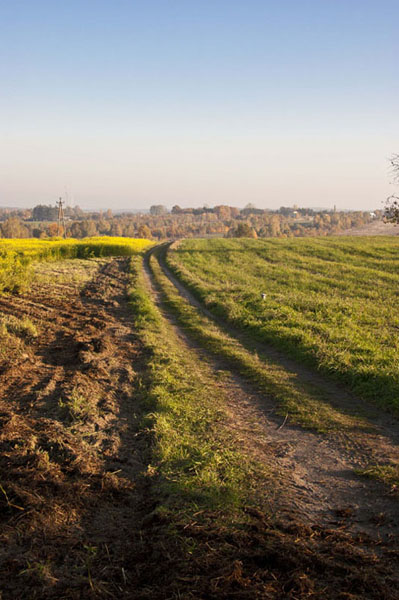 Kliknij na zdjęcie, żeby zobaczyć w pełnych wymiarach