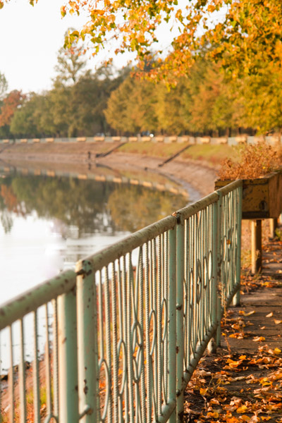 Kliknij na zdjęcie, żeby zobaczyć w pełnych wymiarach