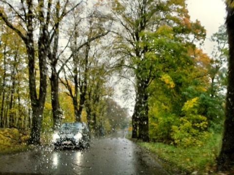 Kliknij na zdjęcie, żeby zobaczyć w pełnych wymiarach