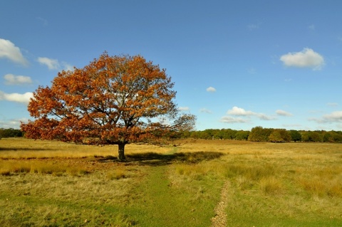 Kliknij na zdjęcie, żeby zobaczyć w pełnych wymiarach