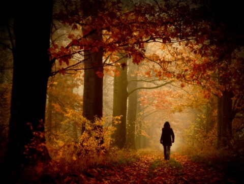 Kliknij na zdjęcie, żeby zobaczyć w pełnych wymiarach