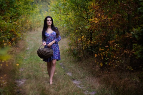 Kliknij na zdjęcie, żeby zobaczyć w pełnych wymiarach