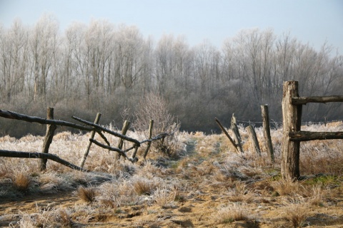 Kliknij na zdjęcie, żeby zobaczyć w pełnych wymiarach