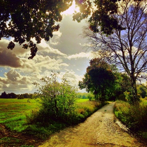 Kliknij na zdjęcie, żeby zobaczyć w pełnych wymiarach