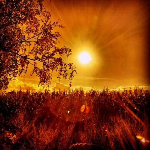 Kliknij na zdjęcie, żeby zobaczyć w pełnych wymiarach