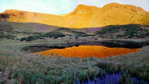 Kliknij na zdjęcie, żeby zobaczyć w pełnych wymiarach