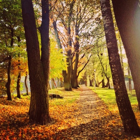 Kliknij na zdjęcie, żeby zobaczyć w pełnych wymiarach