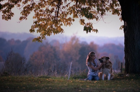 Kliknij na zdjęcie, żeby zobaczyć w pełnych wymiarach