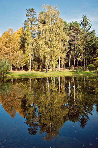 Kliknij na zdjęcie, żeby zobaczyć w pełnych wymiarach