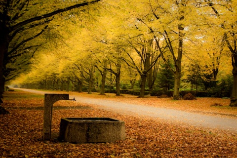 Kliknij na zdjęcie, żeby zobaczyć w pełnych wymiarach